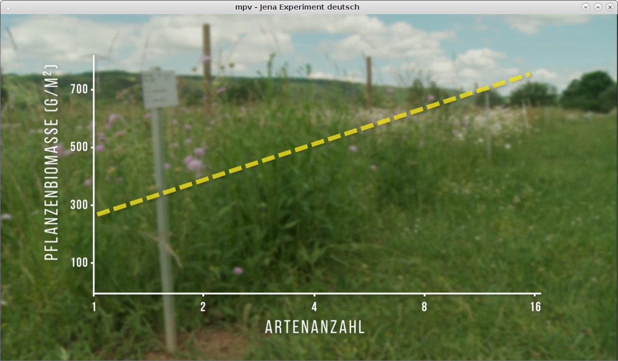 Produktivität über Biodiversität