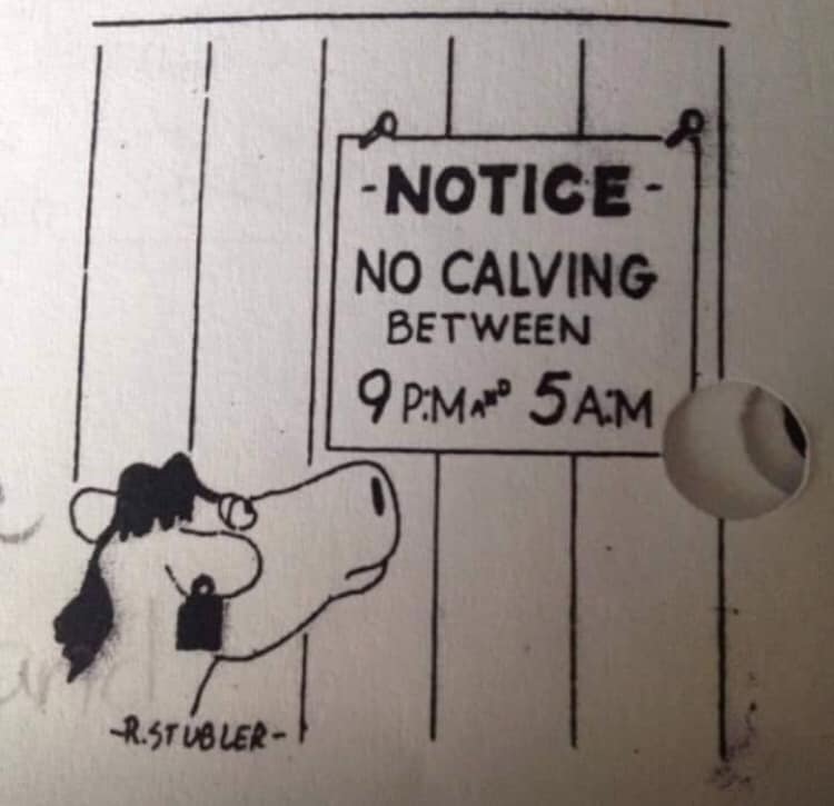 no_calving.jpg