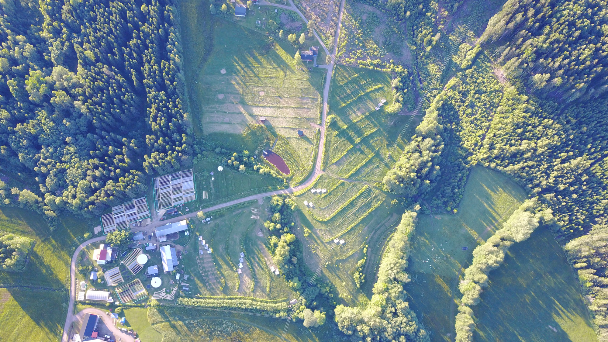 ridgedale_permaculture_Luftbild.jpg