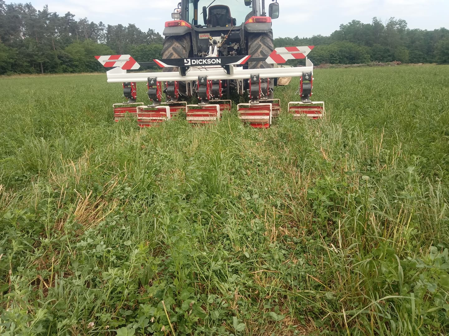 2019-06-18_001 Walzen 1 Woche nach Silageernte.jpg